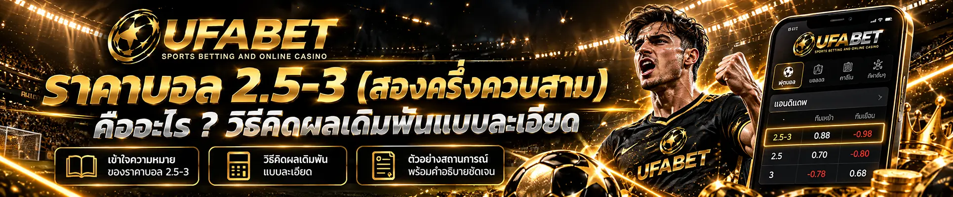 ราคาบอล 2.5-3